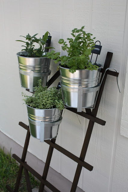Idea for gardening in an apartment: hanging trellis herb garden