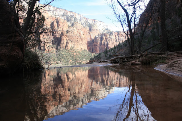 One of Zion National Park's Emerald Pools