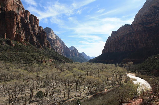 Zion National Park as seen during a Southwest national parks road trip