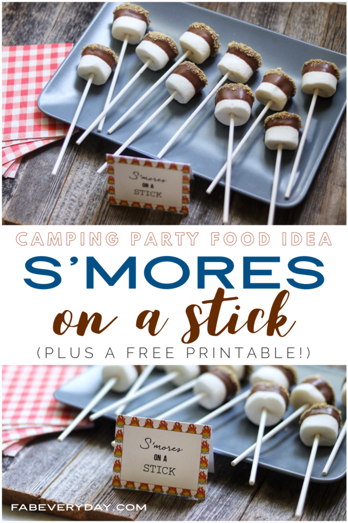 Camping themed party food idea: S'mores on a Stick