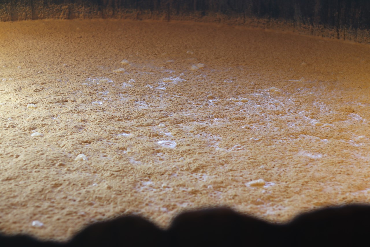 The beer before it becomes whisky at Maker's Mark