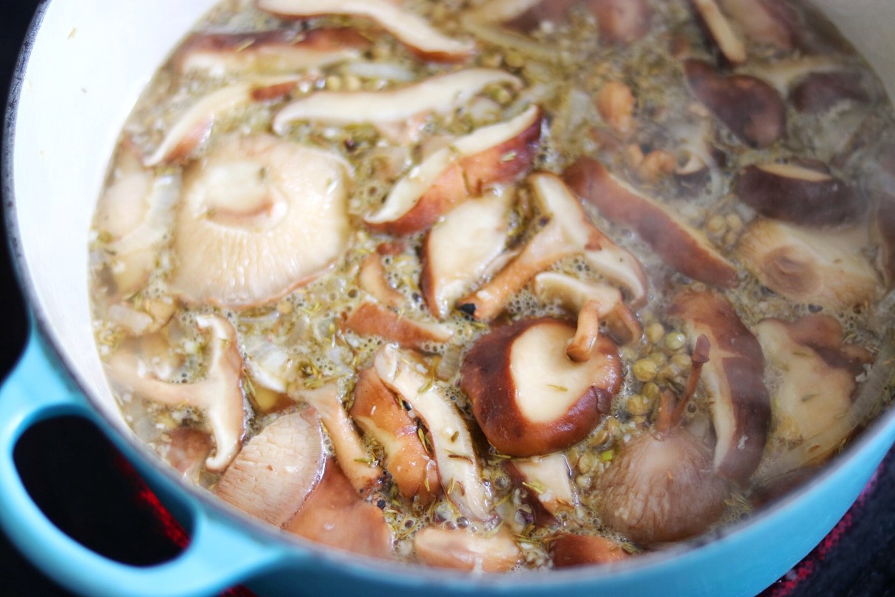 Vegetarian Mushroom Soup