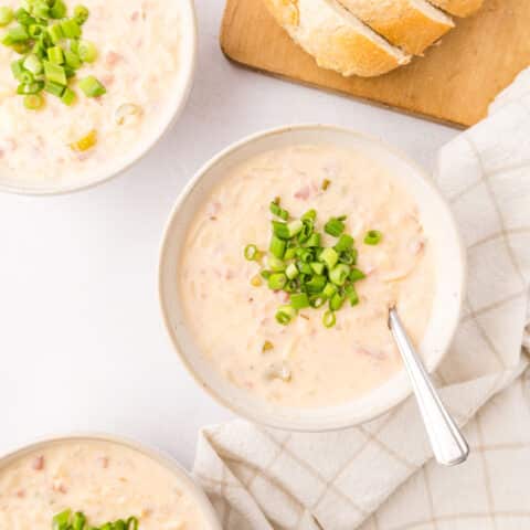 what to do with Thanksgiving leftovers