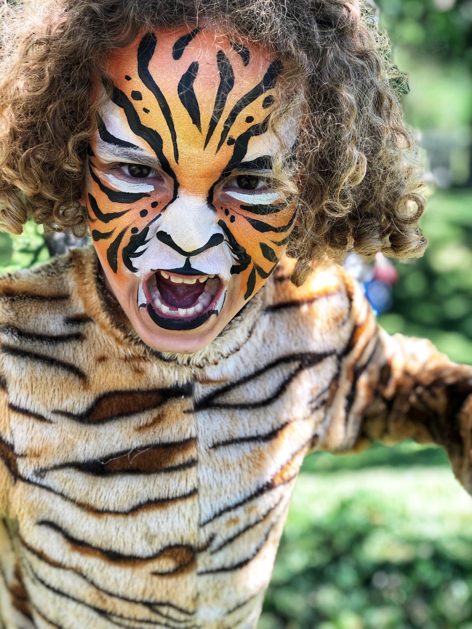 activity idea for a tiger themed birthday party: tiger face painting
