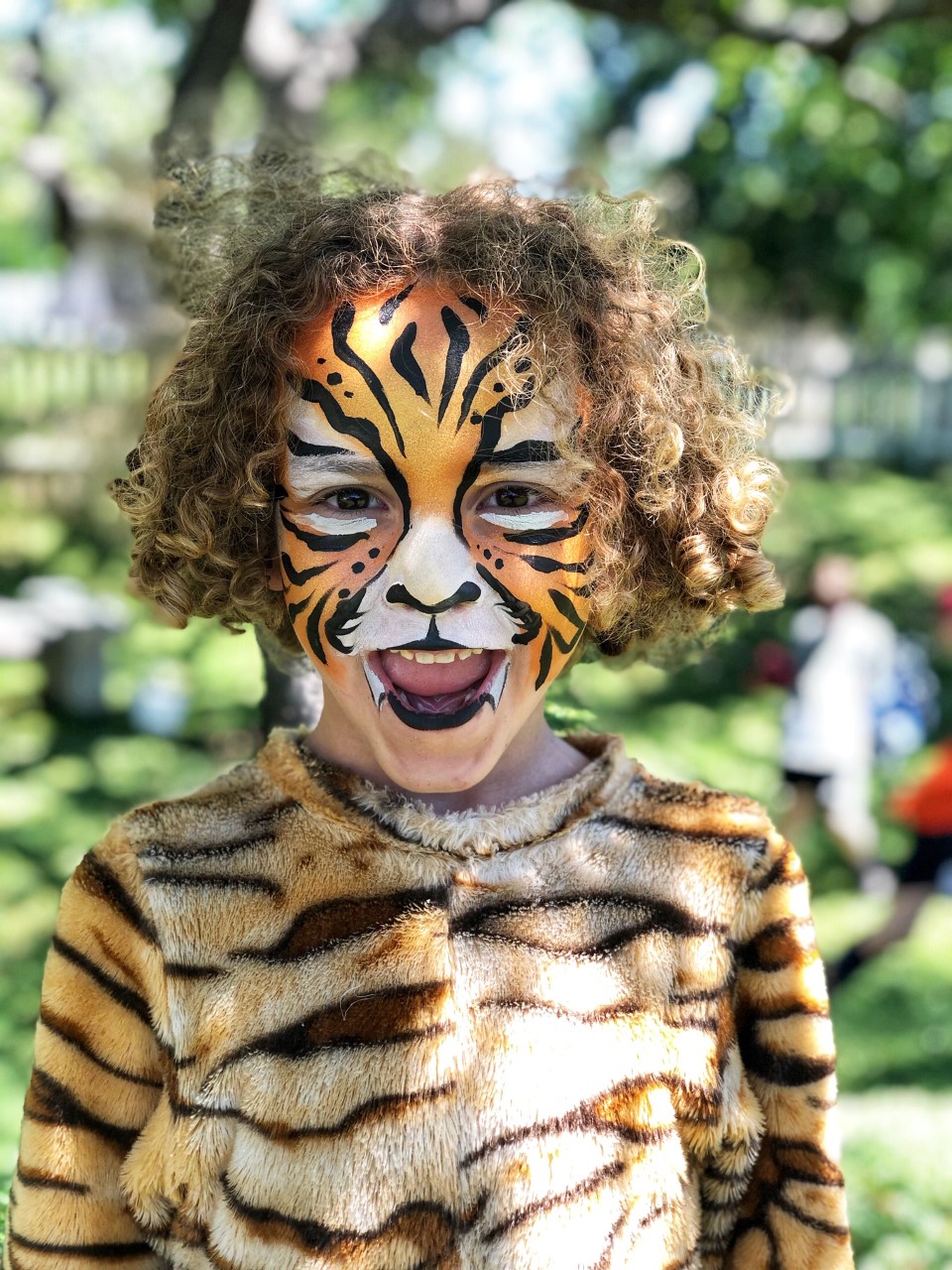 tiger face painting for a tiger themed party activity