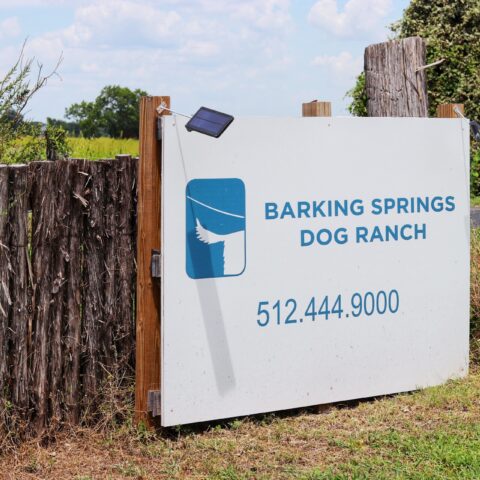 austin dog boarding - barking springs dog ranch nar AUS airport