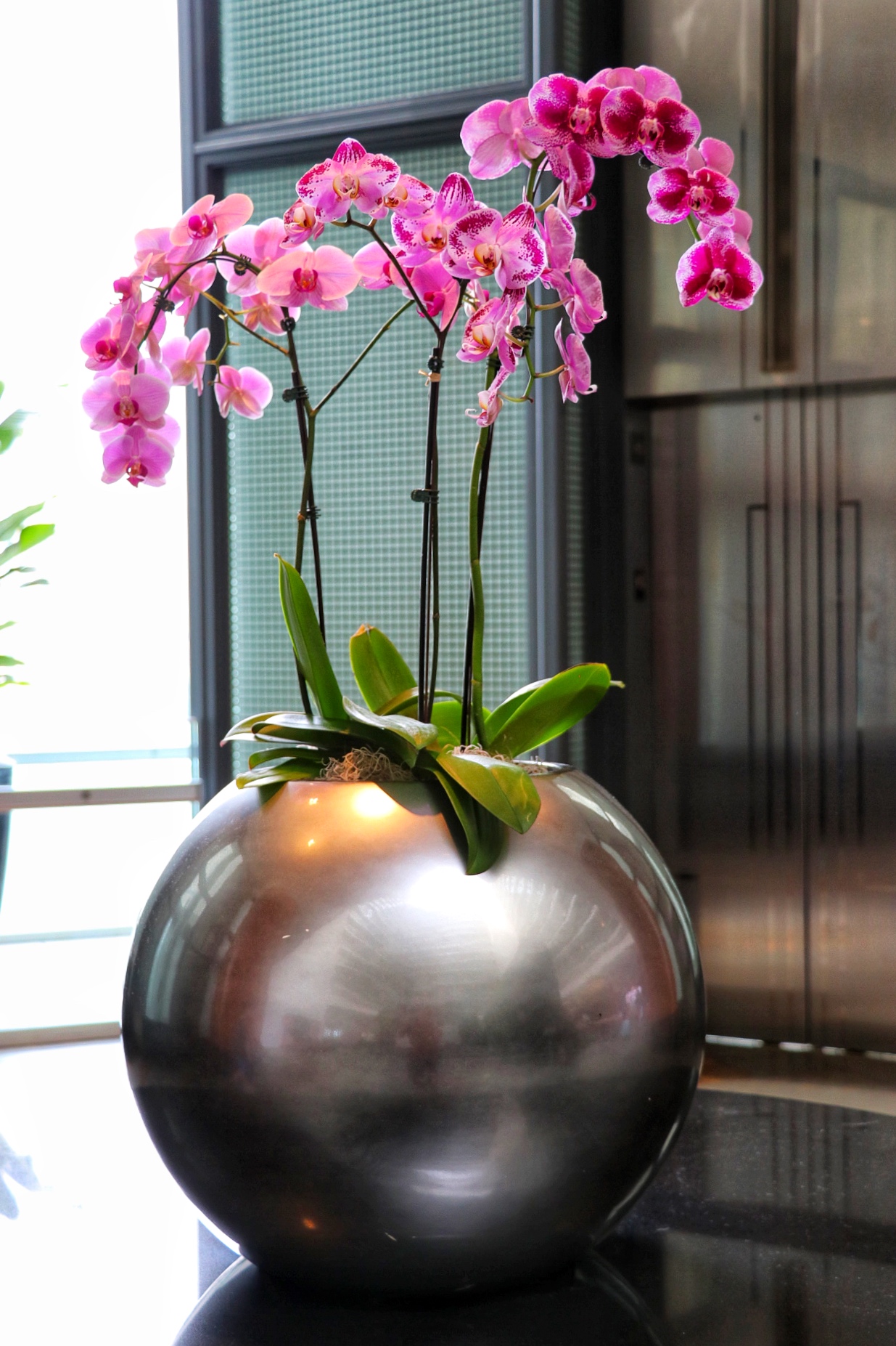 Embassy Suites by Hilton Chicago Downtown Magnificent Mile decor