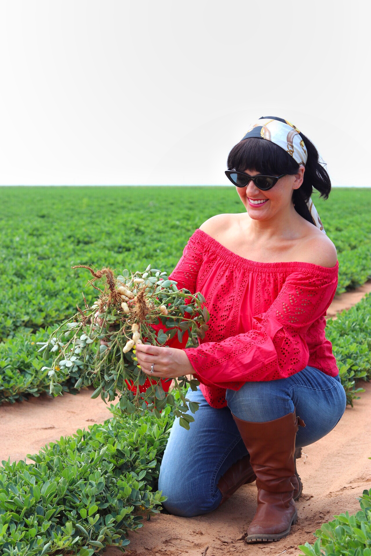 examining texas peanuts