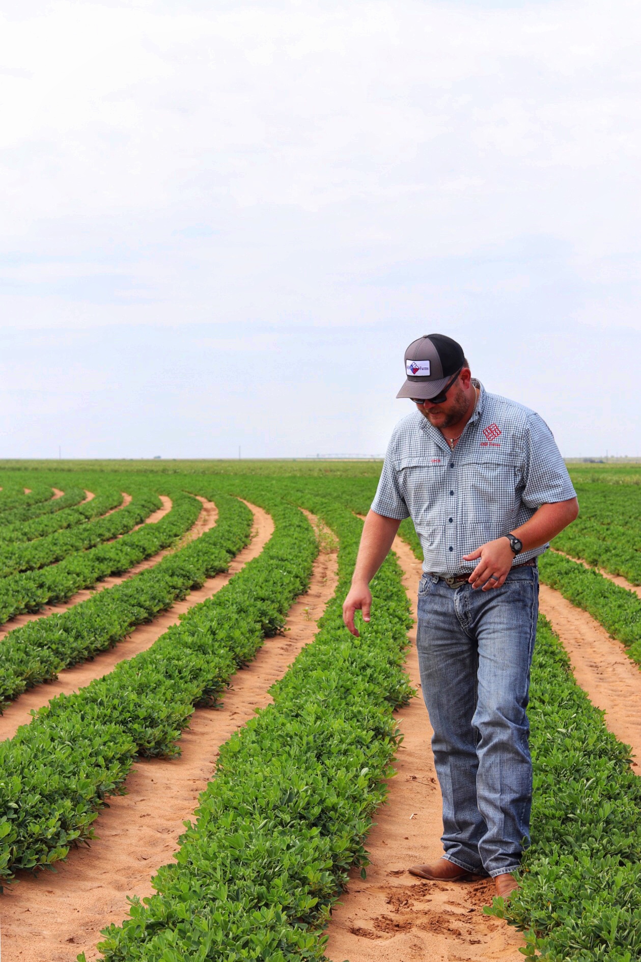 Mason Becker, Texas peanut farmer of 4MB Farms