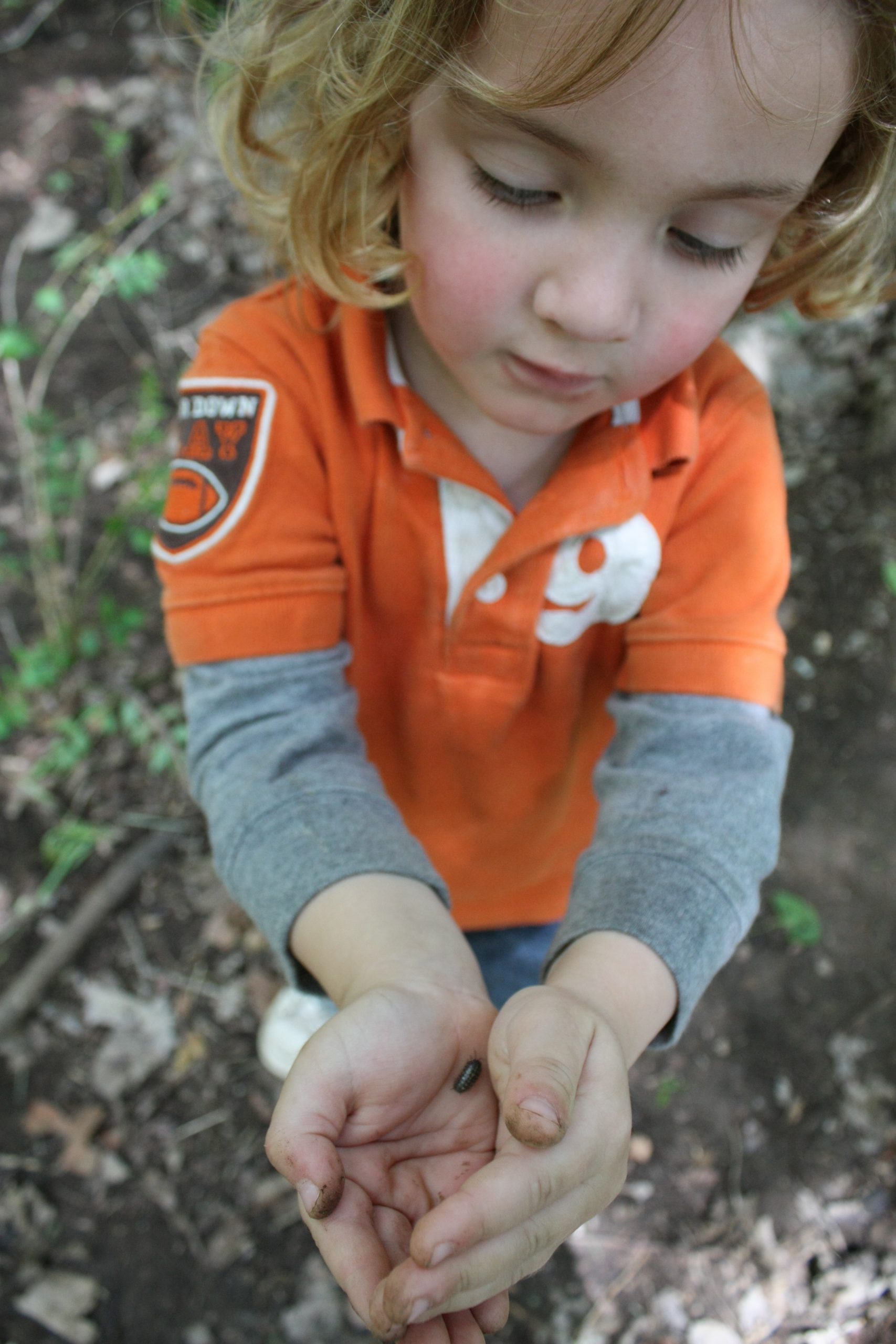 Texas campground reviews: Buescher State Park