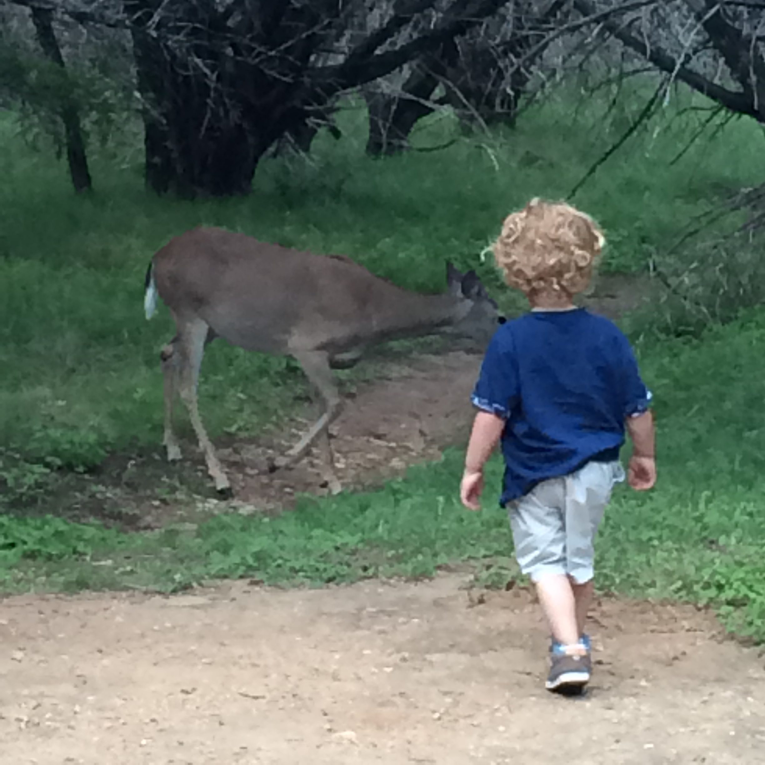 Pedernales Falls State Park - one of the best Texas camping spots