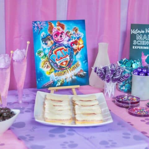 PAW Patrol: The Mighty Movie party (pink Paw Patrol party)