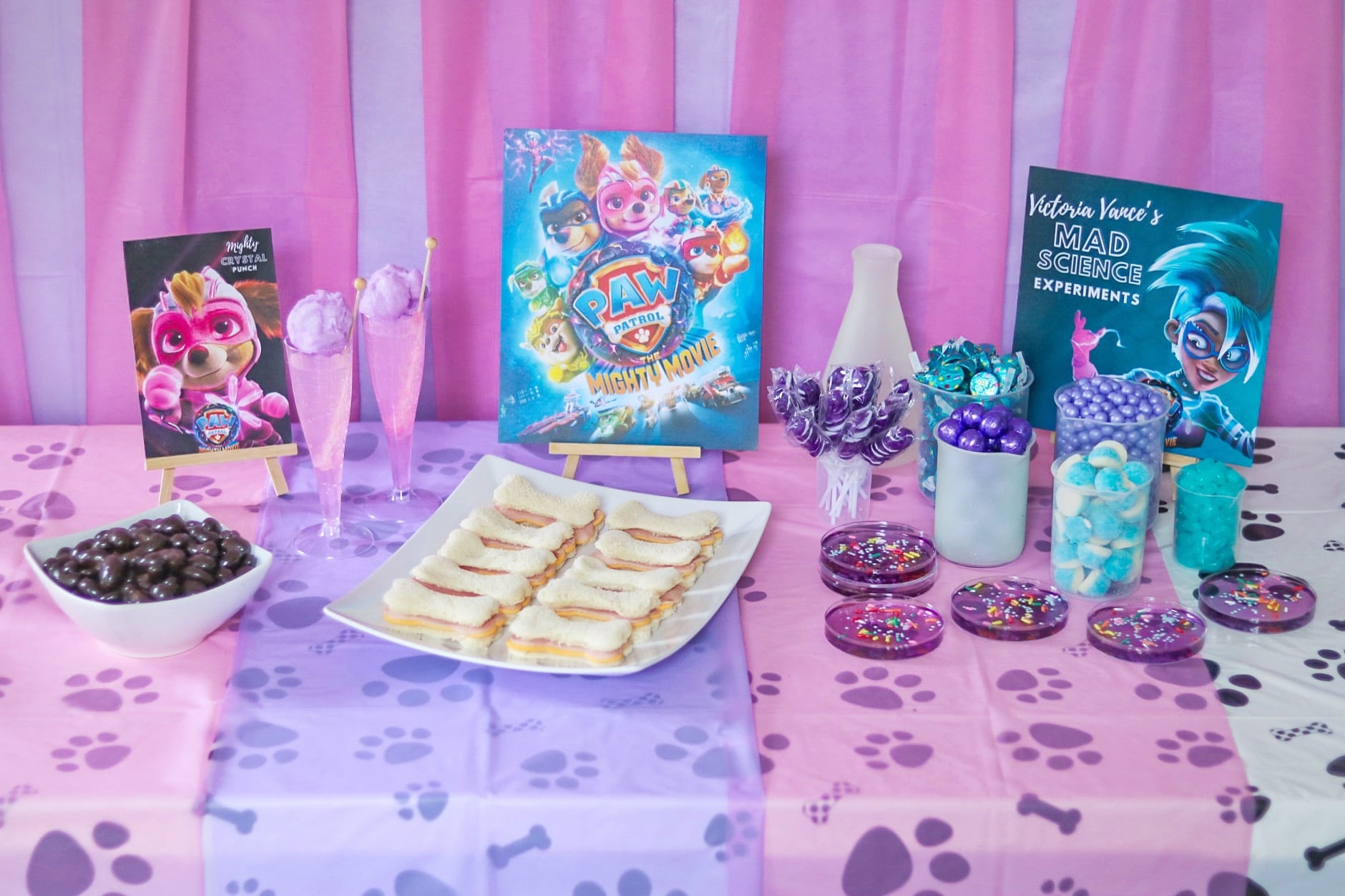 Pink Paw Patrol party for PAW Patrol: The Mighty Movie