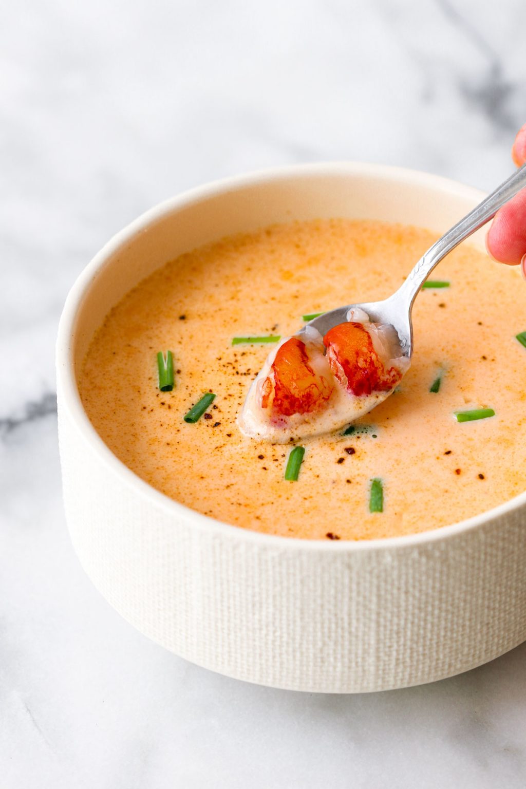 Easy Lobster Bisque recipe - Fab Everyday