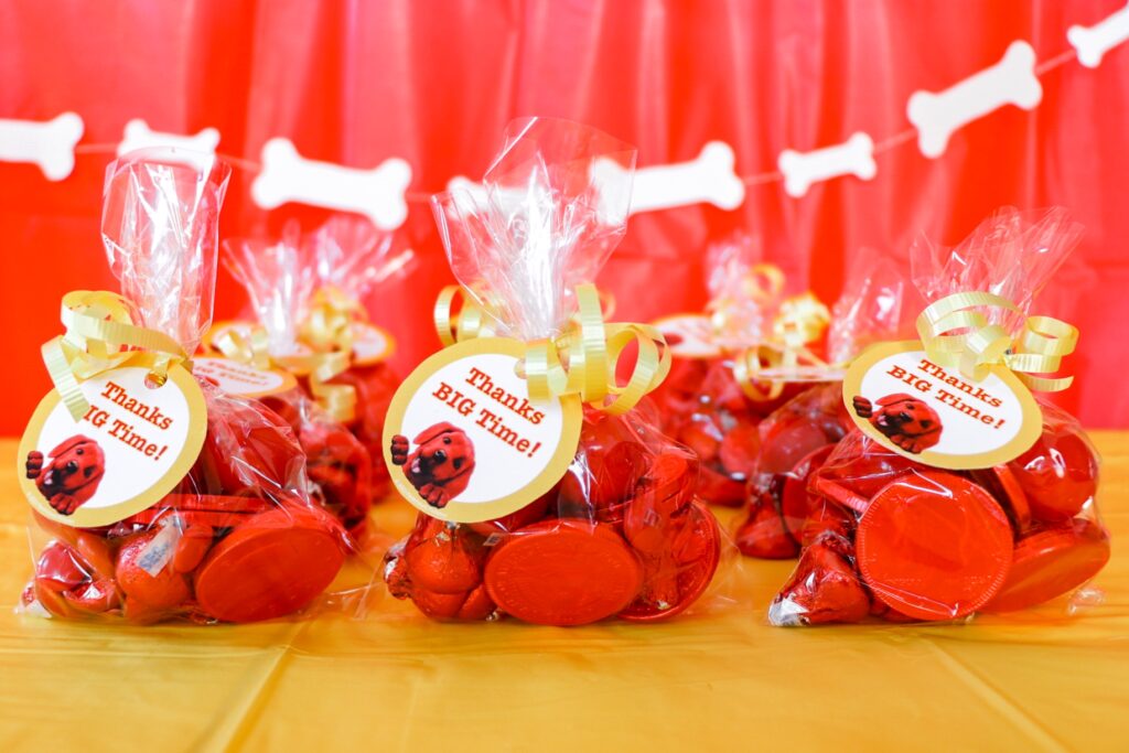 Clifford the Big Red Dog party favors