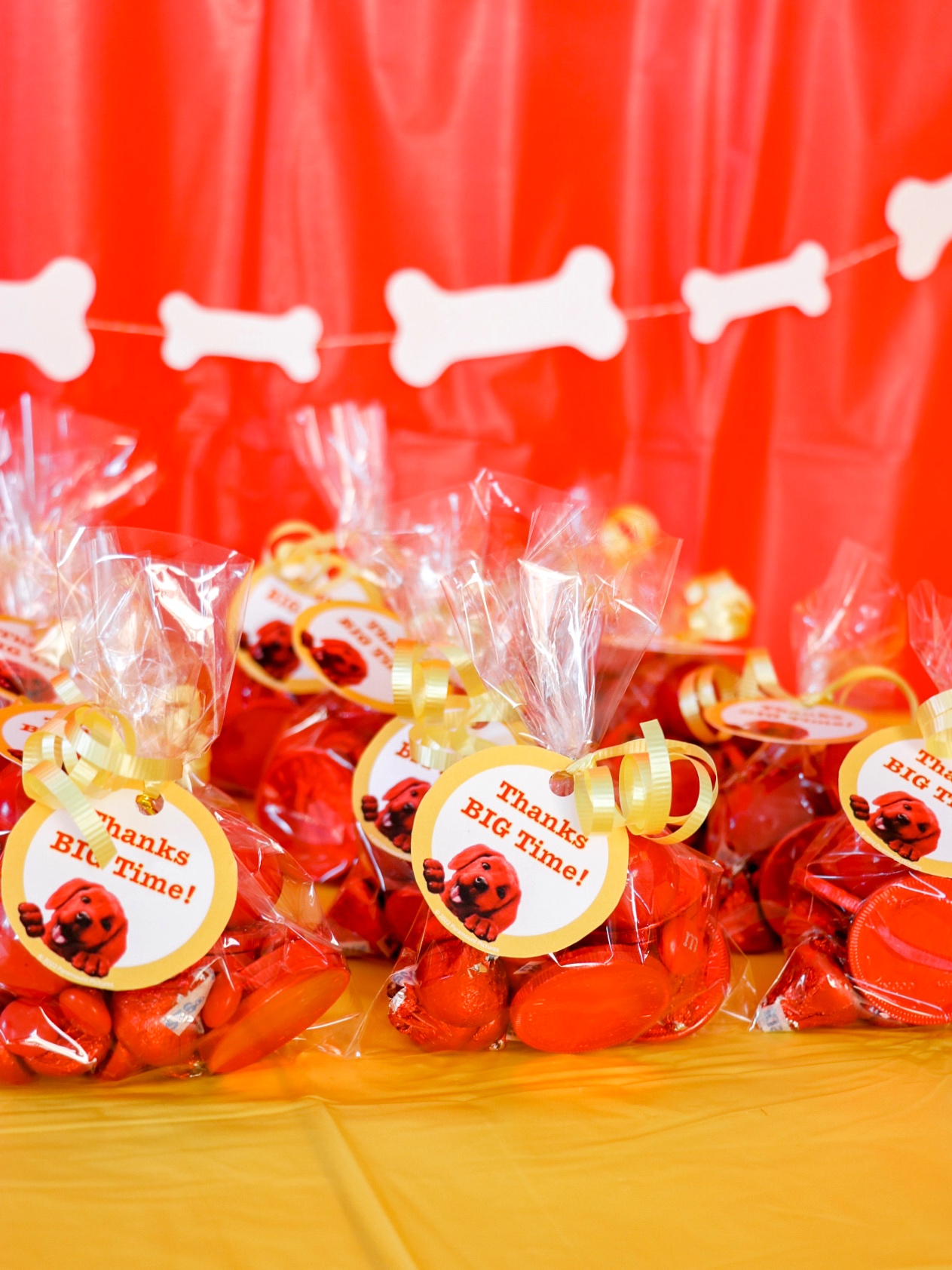 Clifford the Big Red Dog party favors