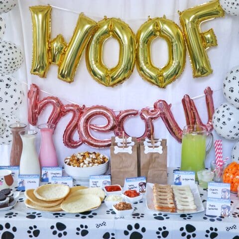 Dog and Cat Party Ideas for a Paws of Fury At-Home Watch Party!