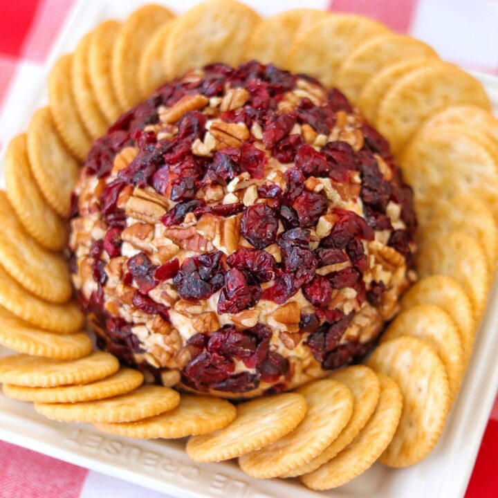 Dried Cranberry and Nut Cheeseball