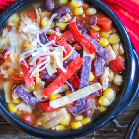 Dump-and-Go Instant Pot Tortilla Soup recipe