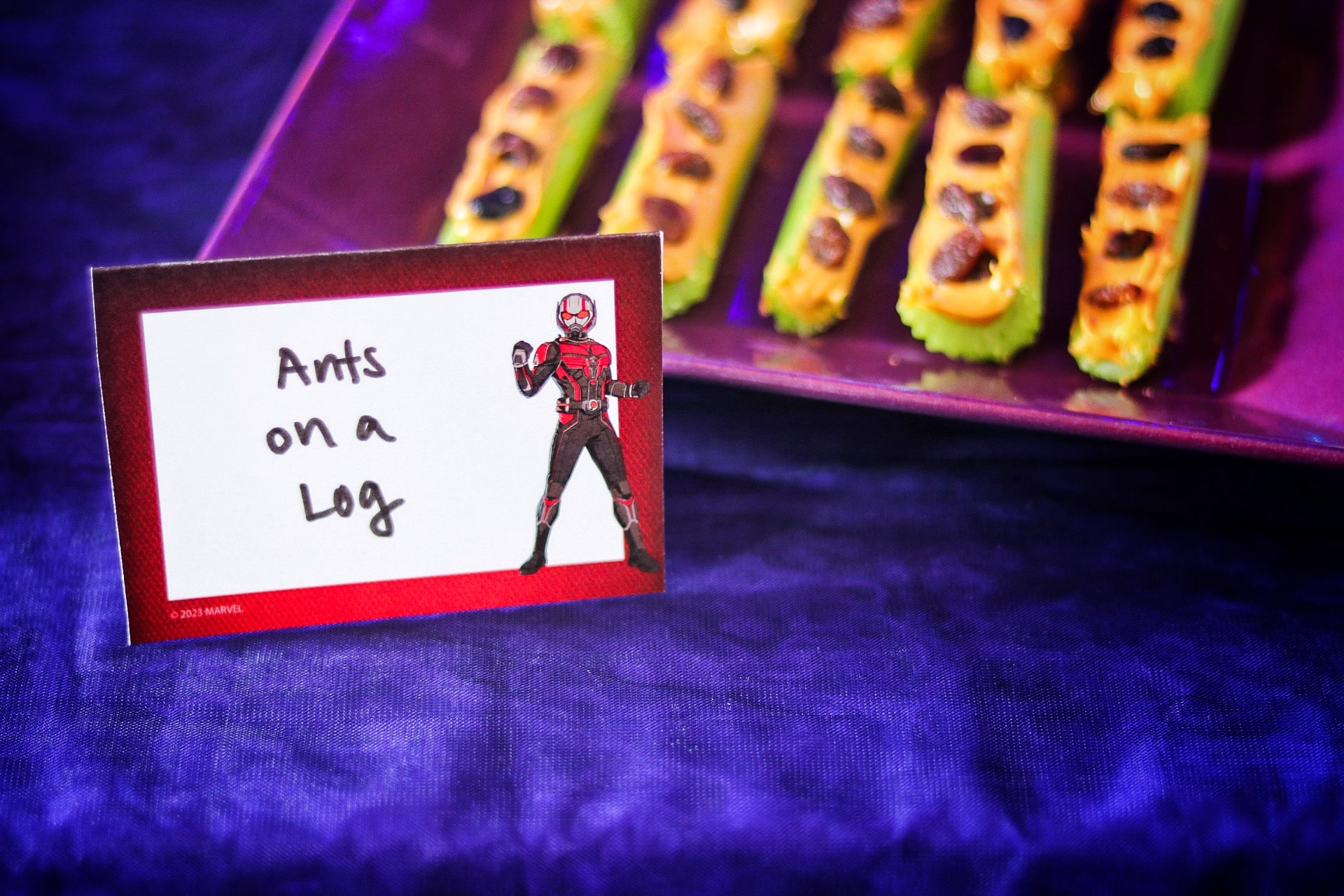 Ant Man birthday party free printable food signs