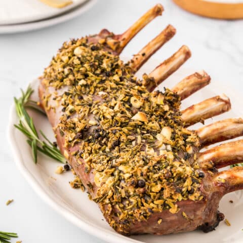 Fennel, Garlic, and Rosemary-Crusted Rack of Lamb (herb crusted rack of lamb recipe)