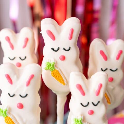 Easy Easter Bunny Pops (chocolate covered Peeps pops)