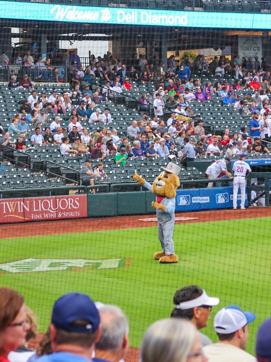 Tips for Attending a Round Rock Express Baseball Game with Your Family