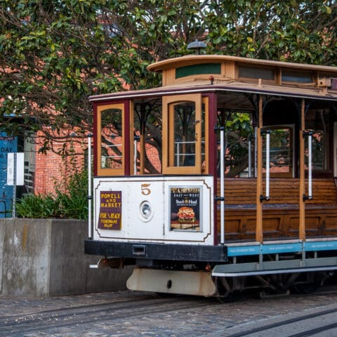 Why You Should Consider San Francisco for Your Next Family Vacation