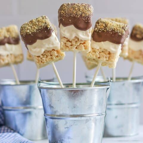 Easy S’mores Treats Pops