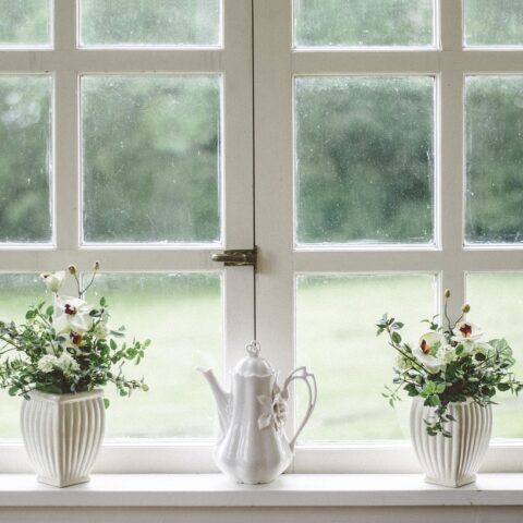 Choosing Windows For The House: Types and Materials