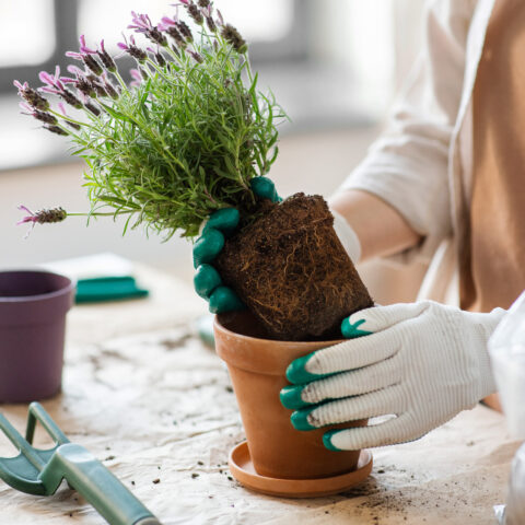 A Simple Storage Solution for Moms Who Love Gardening