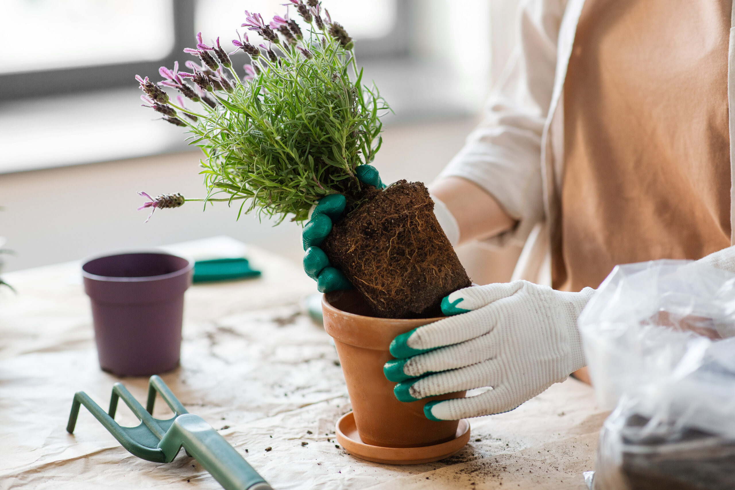 A Simple Storage Solution for Moms Who Love Gardening