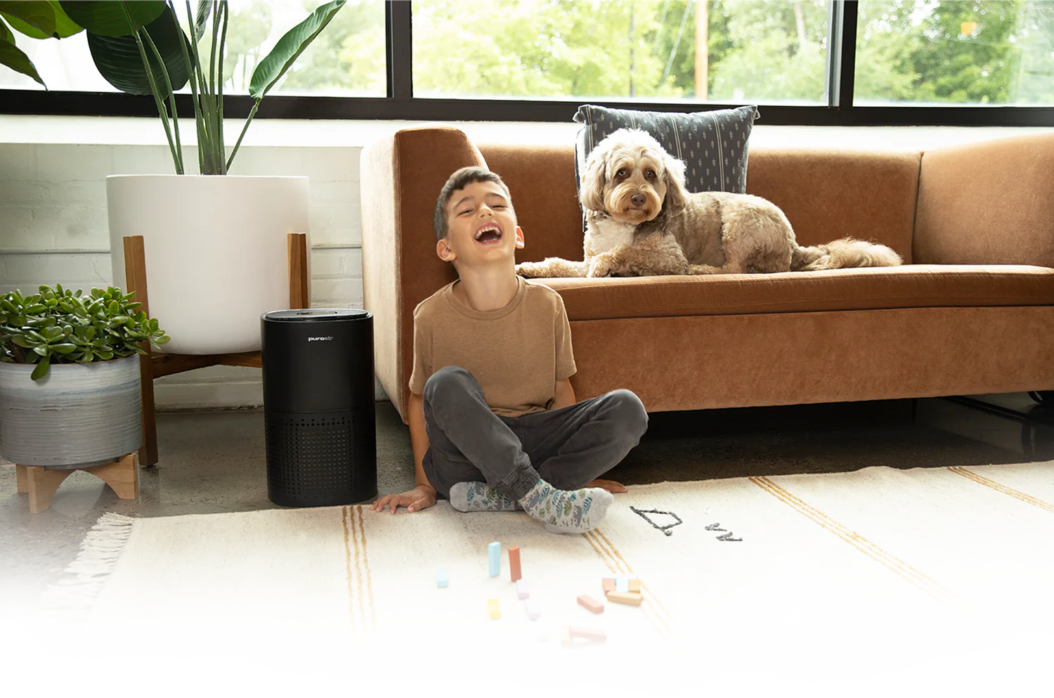 PuroAir Air Purifier Reviews: A Comprehensive Guide to Clean and Healthy Air
