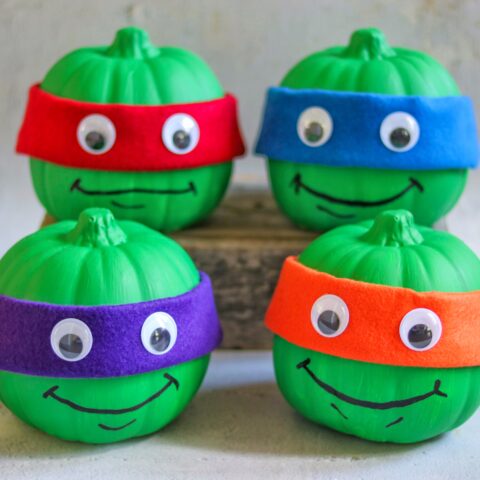 Teenage Mutant Ninja Turtles Pumpkin Craft (TMNT painted pumpkins)