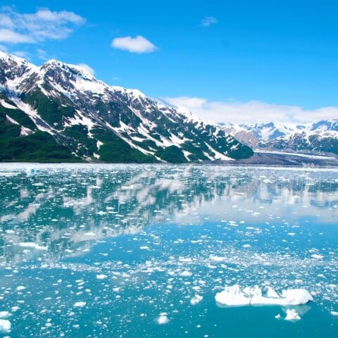 Experience the Magic of a Winter Wonderland: Discover Unforgettable New Year Adventures