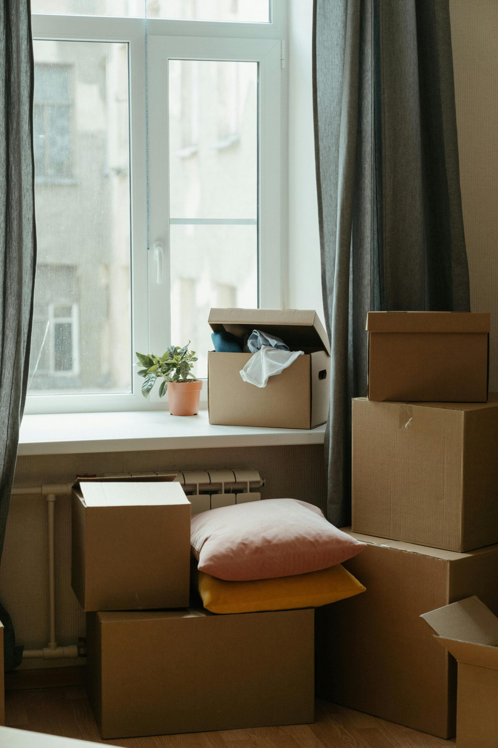 How to Organize a House Move: 5 Things to Know