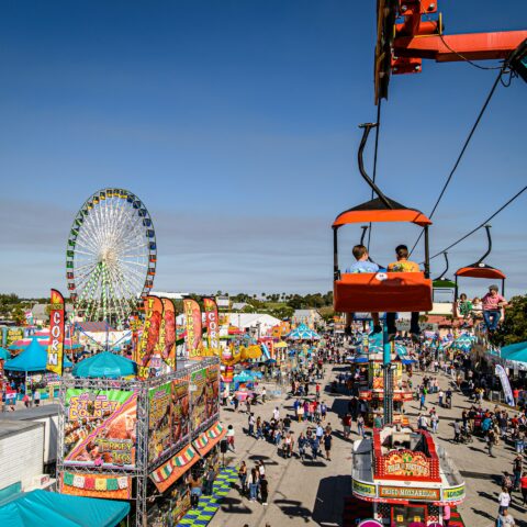 Kid-Friendly Travel Destinations in Florida Every Family Should Visit