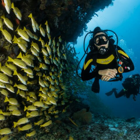 How to Host a Family Diving Holiday Successfully