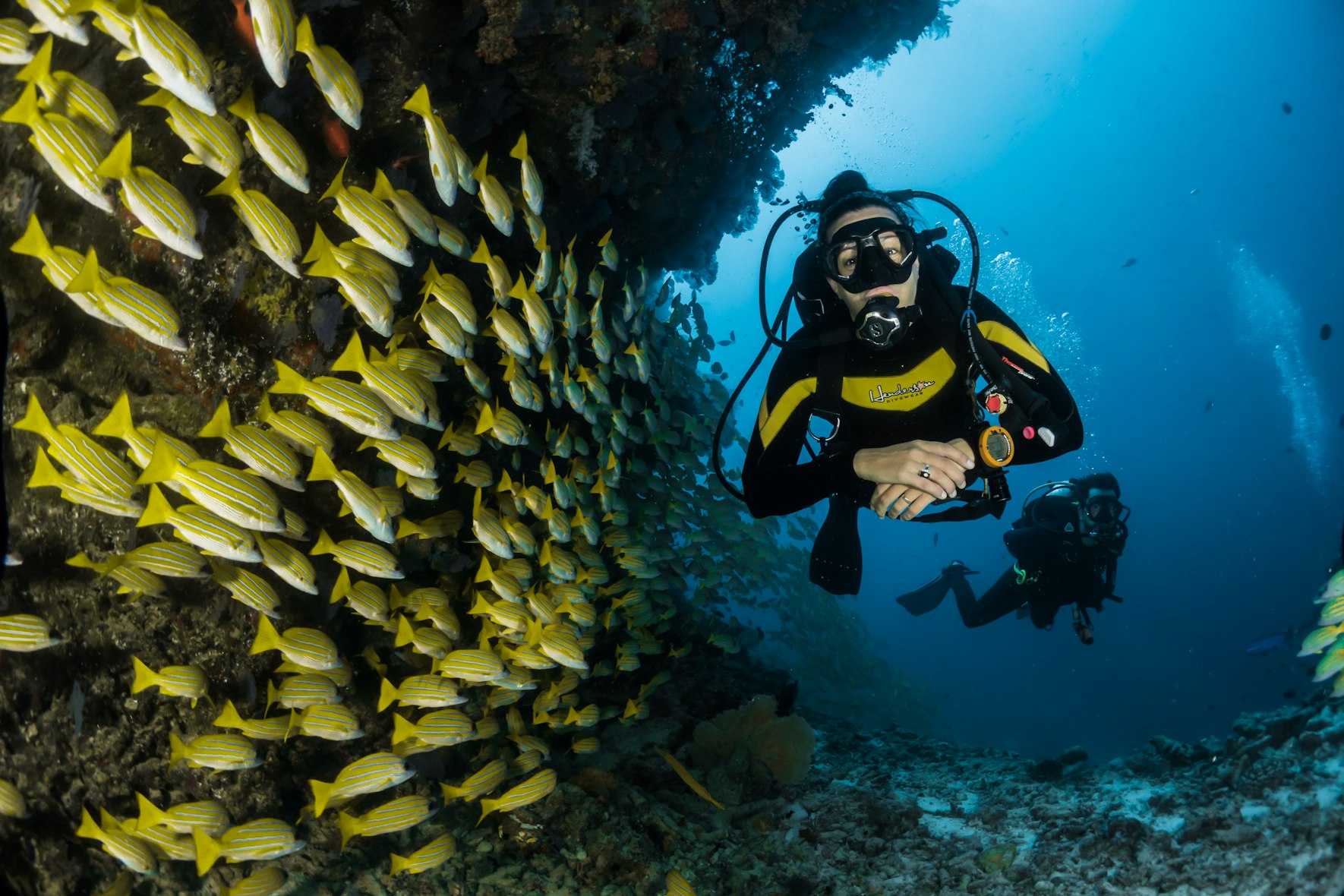 How to Host a Family Diving Holiday Successfully