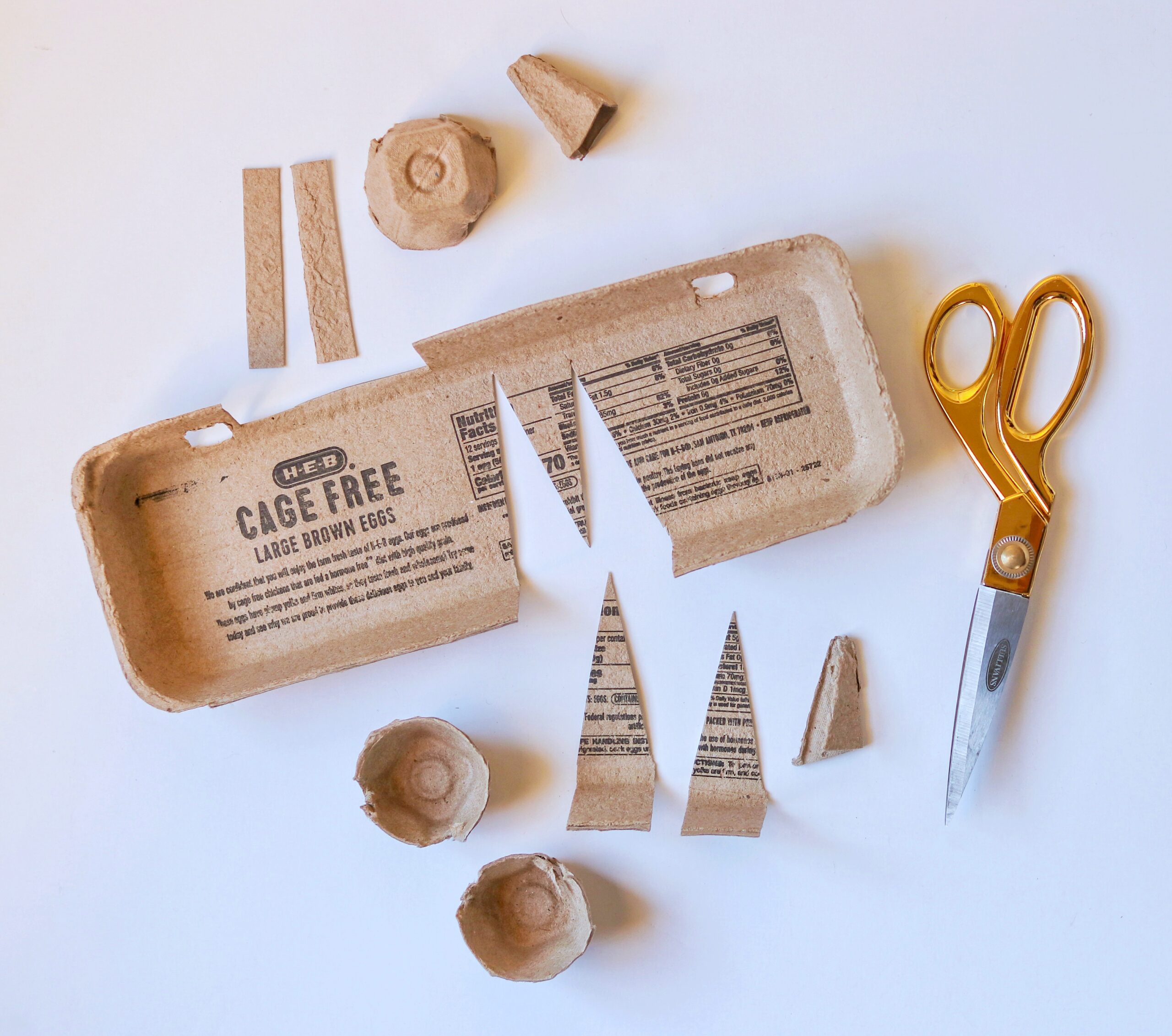 egg carton craft