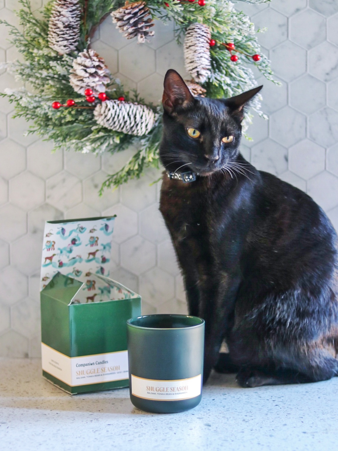 Companion Candles
