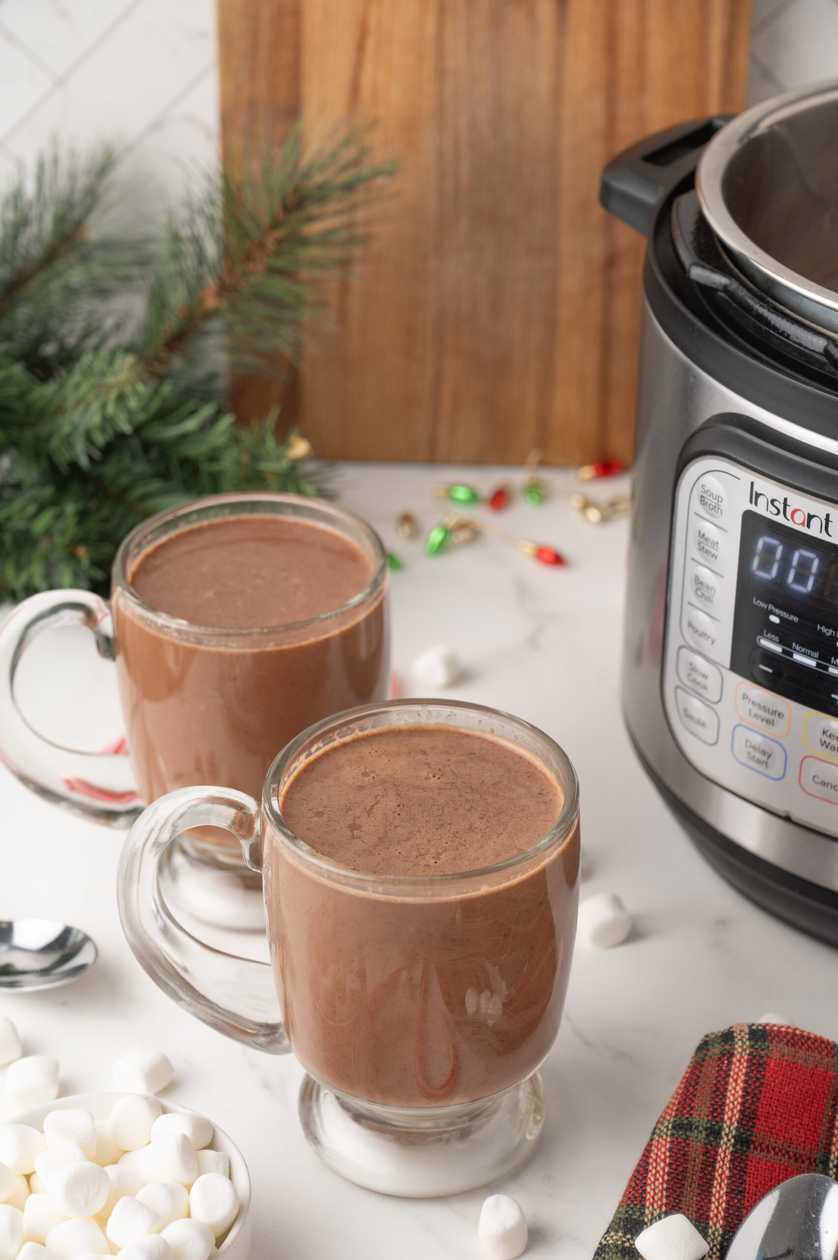 recipe for hot cocoa in Instant Pot