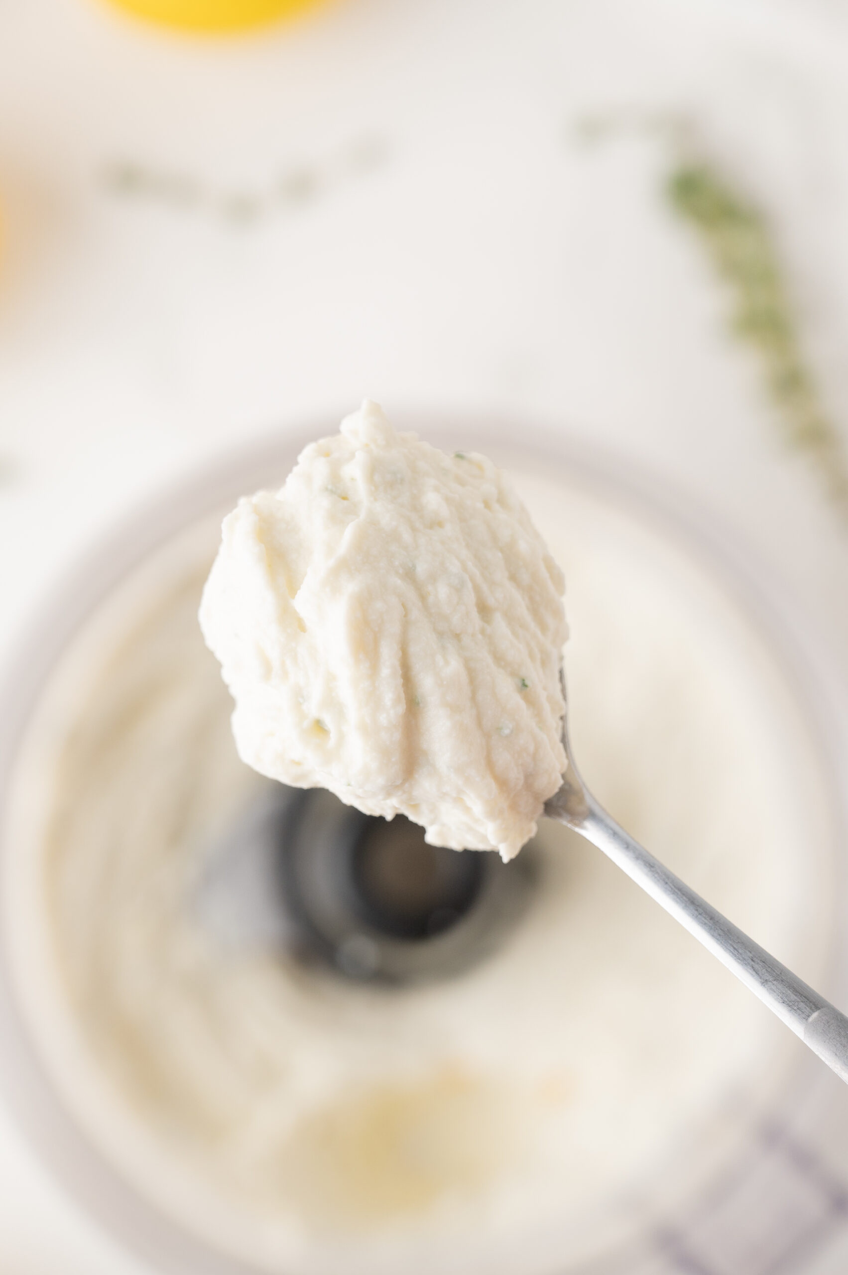 ricotta dip