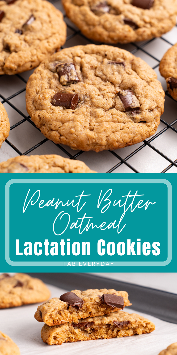 Homemade Lactation Cookies recipe
