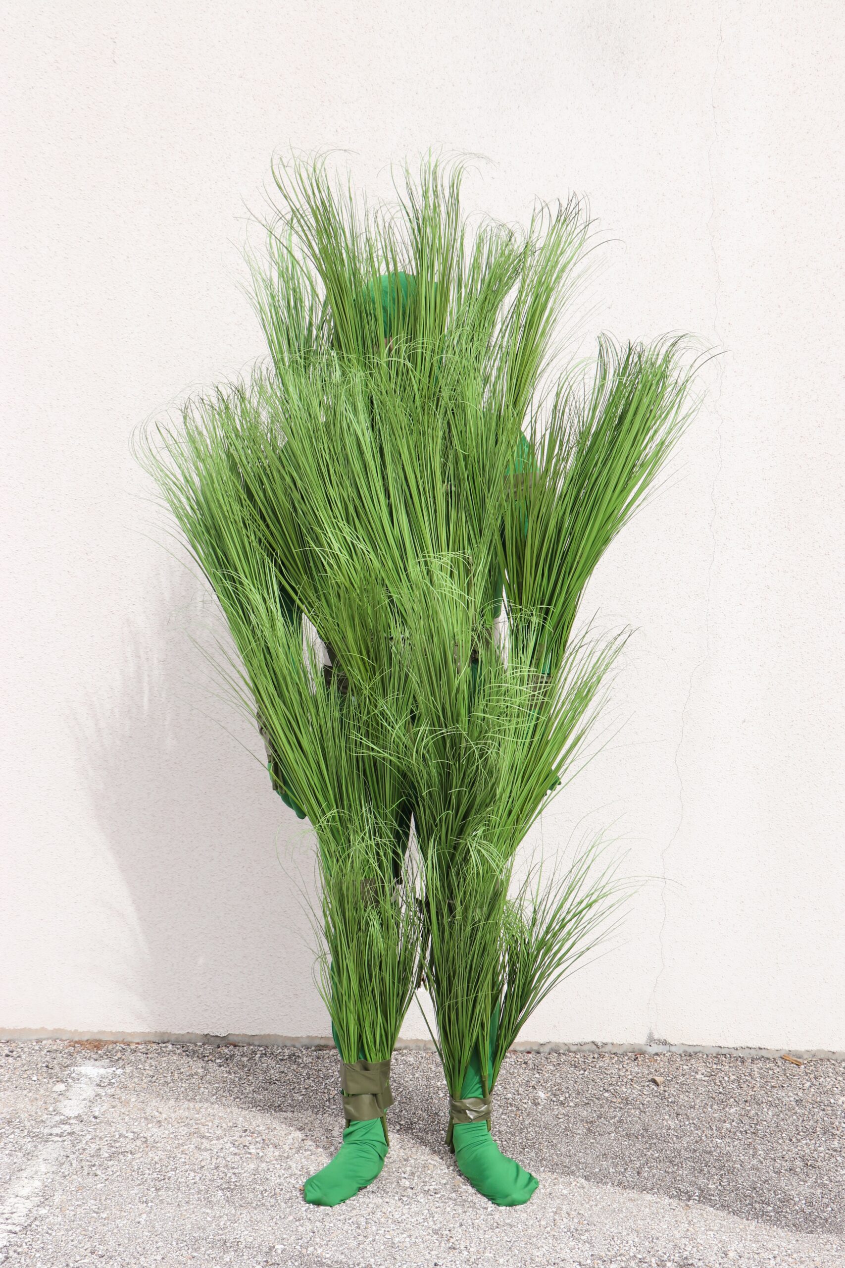 DIY Bad Bunny Super Bowl Halftime Show Grass Person Halloween Costumes